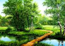 Тропа через реку