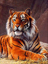 Тигр в ярких тонах