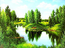 Зеленый лес у воды