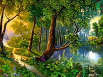 Темный лес у воды