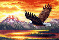 Горный орёл над озером