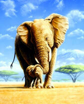 Слон и слонёнок на прогулке