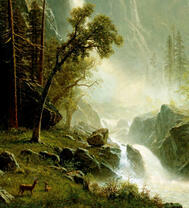 Лесной бурный водопад