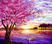 Розовый закат и цветущее дерево