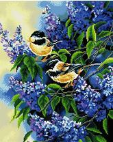 Синички на сирени