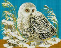 Белый филин