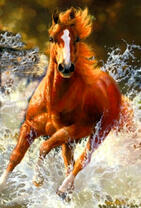 Дикий жеребец