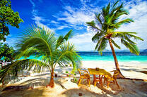 Столик под пальмами на берегу океана