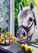 Белая лошадь заглядывает в окошко