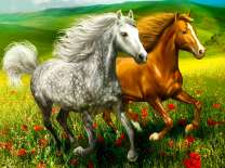 Две лошади на маковом поле