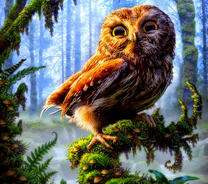 Сова в лесу