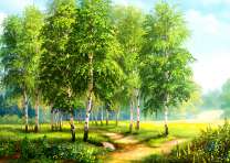 Тропа ведущая сквозь березовую рощу