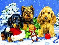 Три щенка на снегу