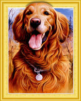 Рыжий пёс с медальоном