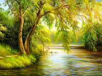 Ива склонилась над водой