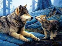 Волчица и ее сынок