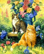 Коты и розы