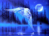 Полёт полярной совы над озером под луной