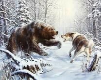 Схватка пса с медведем