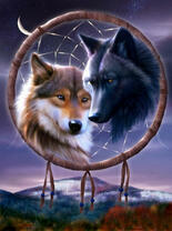 Коричневая волчица и черный волк под луной