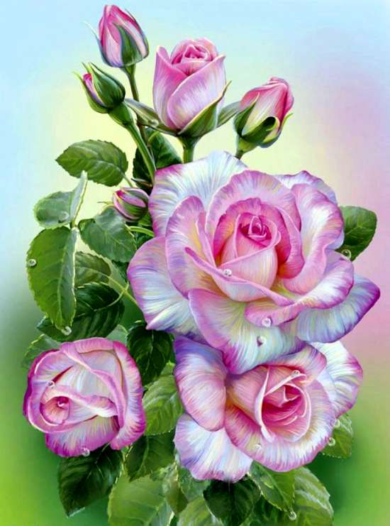 Картина по номерам 40x50 Шикарные розовые розы