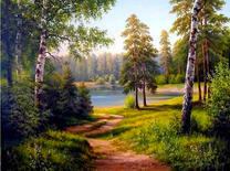 Небольшой туман над лесным озером