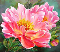 Чайная роза