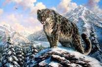 Снежный барс на вершине горы