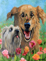 Смешные собаки на лугу