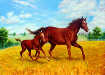 Лошадь с жеребёнком в поле