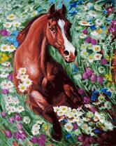 Лошадь среди полевых цветов