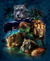 Грозные кошки джунглей