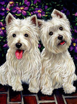 Две собачки у цветущего куста