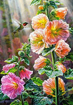 Птичка колибри кушает нектар с цветов