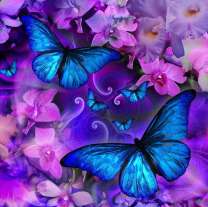 Бабочки на сиреневых цветах