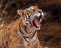 Грозная тигрица