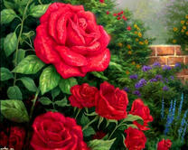 Розы в саду у забора