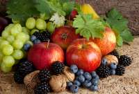 Картина по номерам Номерашка (Paintboy) «Фрукты, ягоды и орехи»