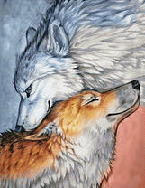 Влюбленные волки