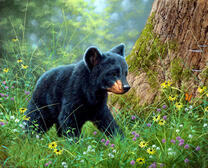 Черный медвежонок в лесу