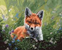 Милый лисёнок на летнем лугу