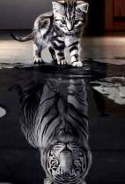 Котенок мечтает стать тигром