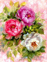 Три полных розы