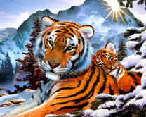 Тигрица с тигренком в снегу