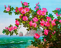 Чайная роза на берегу моря