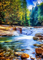 Река с порогами в сосновом лесу