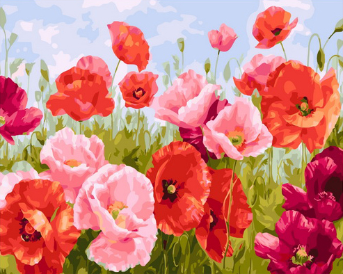 Картина по номерам 40x50 Цветущие маки на летнем поле