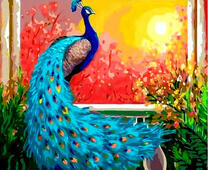 Павлин с роскошным хвостом встречает рассвет