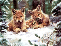 Волчата на снегу