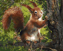 Пушистая белочка